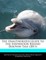 The Unauthorized Guide to the Inspiration Behind Dolphin Tale (2011)