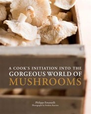 Cook's Initiation into the Gorgeous World of Mushrooms