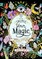 A Mystical Coloring Book: Unlock Your Magic | Knygos.lt