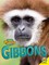 Gibbons