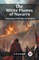 The White Plumes of Navarre A Romance of the Wars of Religion
