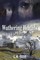 Wuthering Heights Revisited
