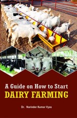 A Guide How to Start Dairy Farming