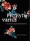 Pro Rytų vartus. Orientas Lietuvos liturginėje tekstilėje XVI–XX a.