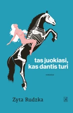 Knygos.lt blitz kaina