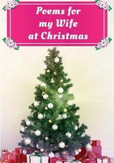 Poems for My Wife at Christmas