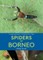A Naturalist's Guide to the Spiders of Borneo