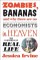 Zombies, Bananas and Why There Are No Economists in Heaven