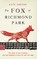 The Fox Of Richmond Park