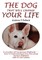 The Dog That Will Change Your Life