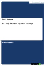 Security Issues of Big Data Hadoop