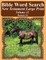 Bible Word Search New Testament Large Print Volume 31