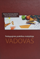 Pedagoginės praktikos mokykloje vadovas
