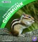 A Day in the Life of a Chipmunk