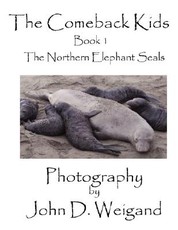 "the Comeback Kids" Book 1, the Northern Elephant Seals