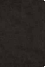 Large Print Bible-ESV