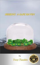 Seeking A Safe Haven