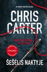 Šešėlis naktyje (Robertas Hanteris)