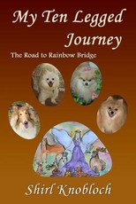 My Ten Legged Journey