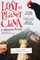 Lost on Planet China
