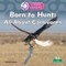 Born to Hunt: All about Carnivores