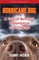 Hurricane Dog
