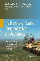 Patterns of Land Degradation in Drylands