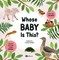Whose Baby Is It?