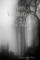 Anti Voidalism 2