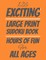 126 Exciting Large Print Sudoku Book