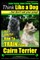 Cairn Terrier, Cairn Terrier Training - Think Like a Dog But Don't Eat Your Poop! - Breed Expert Cairn Terrier Training -