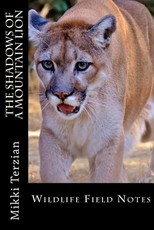 The Shadows of a Mountain Lion