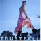 Vinilinė plokštelė LP P!NK „Trustfall“