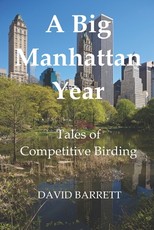 A Big Manhattan Year