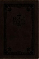 Side-By-Side Bible-PR-NIV/MS Large Print
