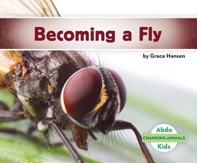 Becoming a Fly