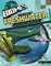 Exploring Freshwater Ecosystems and Habitats