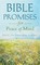 Bible Promises for Peace of Mind