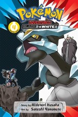 PokÃ©mon Adventures: Black 2 & White 2, Vol. 4
