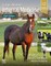 Large Animal Internal Medicine