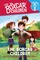 Boxcar Children (The Boxcar Children: Time to Read, Level 2)