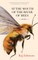 At the Mouth of the River of Bees