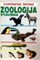 Zoologija: stuburiniai