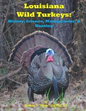 Louisiana Wild Turkeys