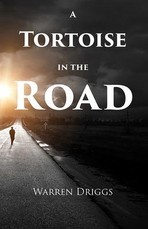 A Tortoise in the Road