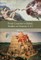 From Creation to Babel