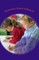 Elementary School Arithmetic