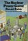 Nuclear Power Game