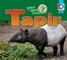 Animals of the Amazon Rainforest: Tapir