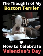 The Thoughts of My Boston Terrier